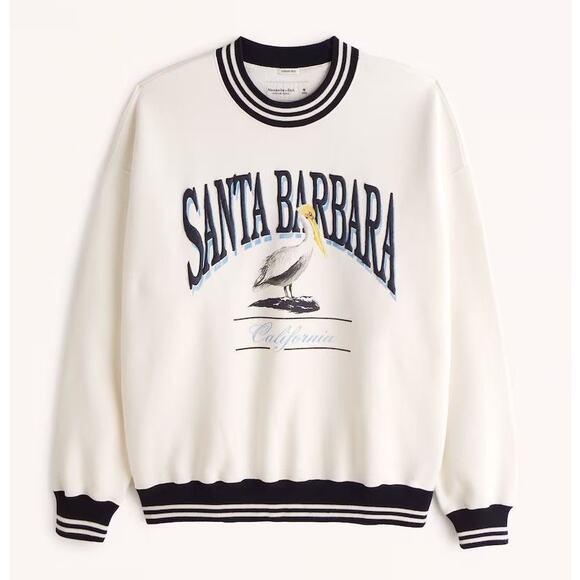 Abercrombie & Fitch Santa Barbara CA Pelican Oversized Sweatshirt Size Large - Picture 1 of 11